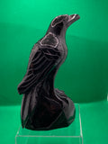 Obsidian (Black) Crow
