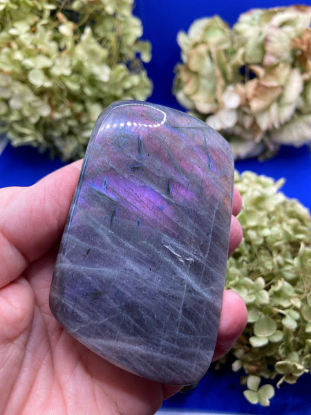 Labradorite Freeform with Purple Flash
