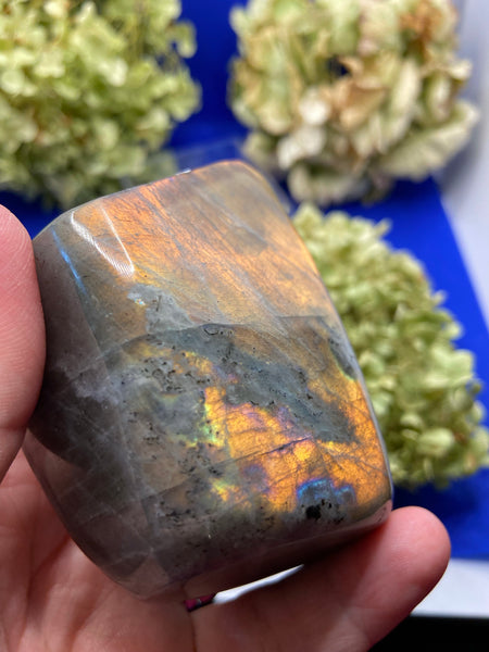 Labradorite Freeform with Gold Flash