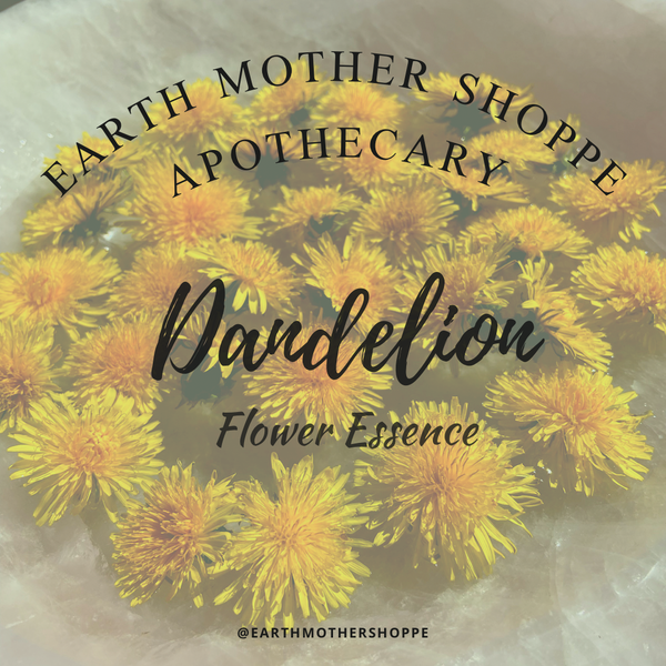 Dandelion Flower Essence