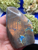 Labradorite Freeform with Blue, Gold and Purple Flash